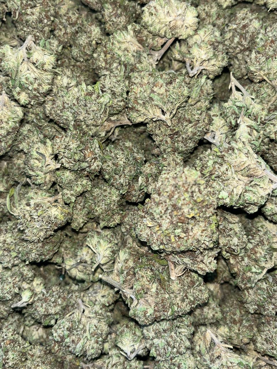 Jelly Roll THCA 2 Buy Jelly Roll THCA