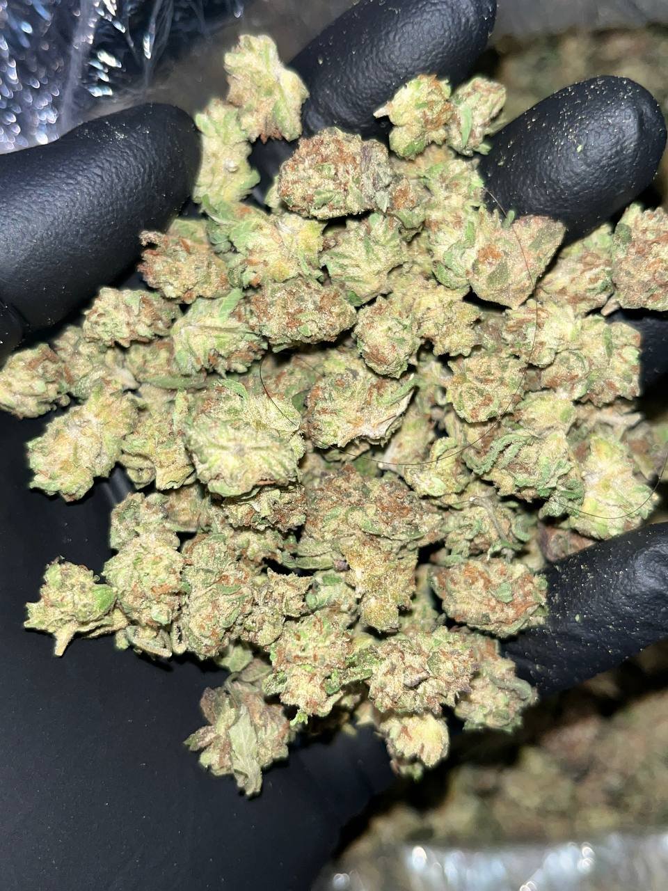 Platinum Punch THCa Smalls 1 Unleash Intensity with Platinum Punch Smalls THCA Strain | High THC Indica