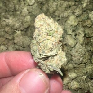 Sandia Gelato THCA