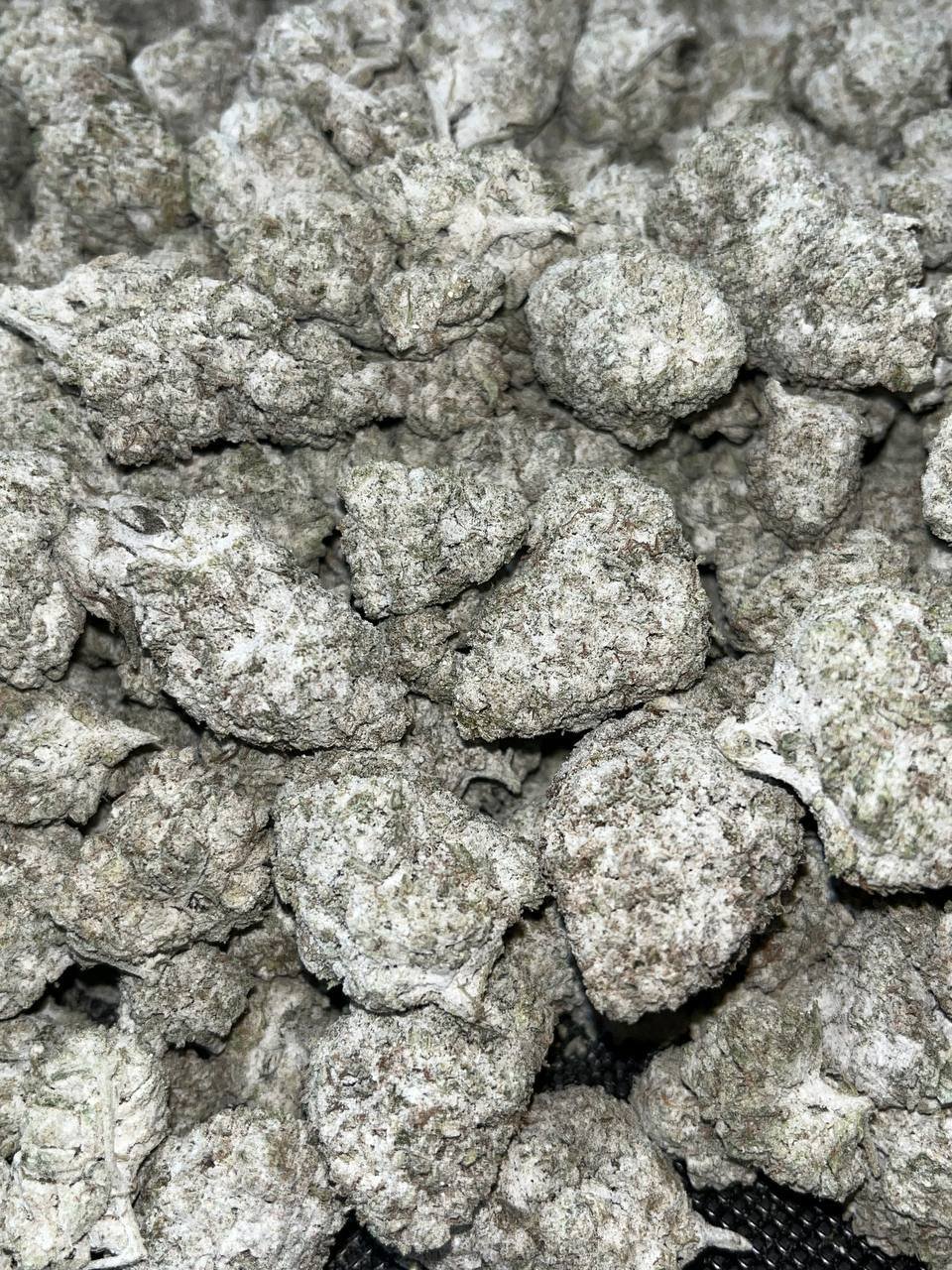 Snowcap Bigs THCA 2 Snowcap Bigs THCA