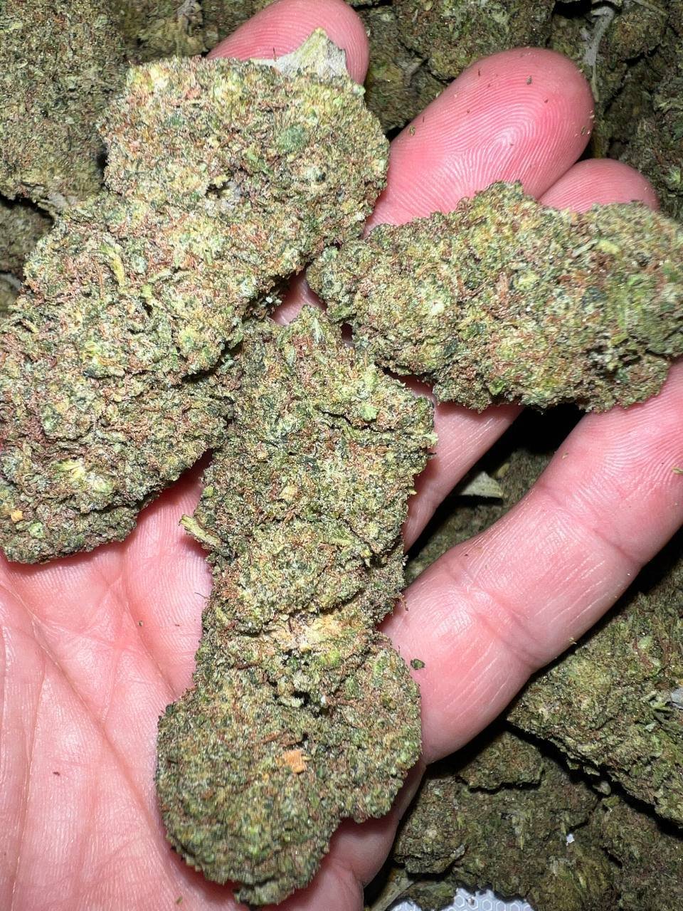 Tsunami OG THCa 1 Tsunami OG THCA Cryo