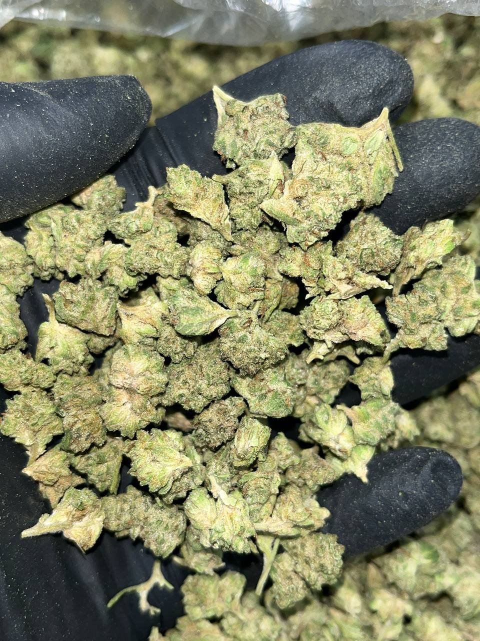 Wedding Cake THCa Smalls 1 Wedding Cake Smalls