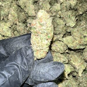 Gelato 41 x Kush Mintz Indoor THCA