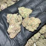 Bubble Gum Gelato THCa Flower