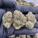Gelato Runtz THCa