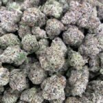 Lemon Cherry Gelato THCa