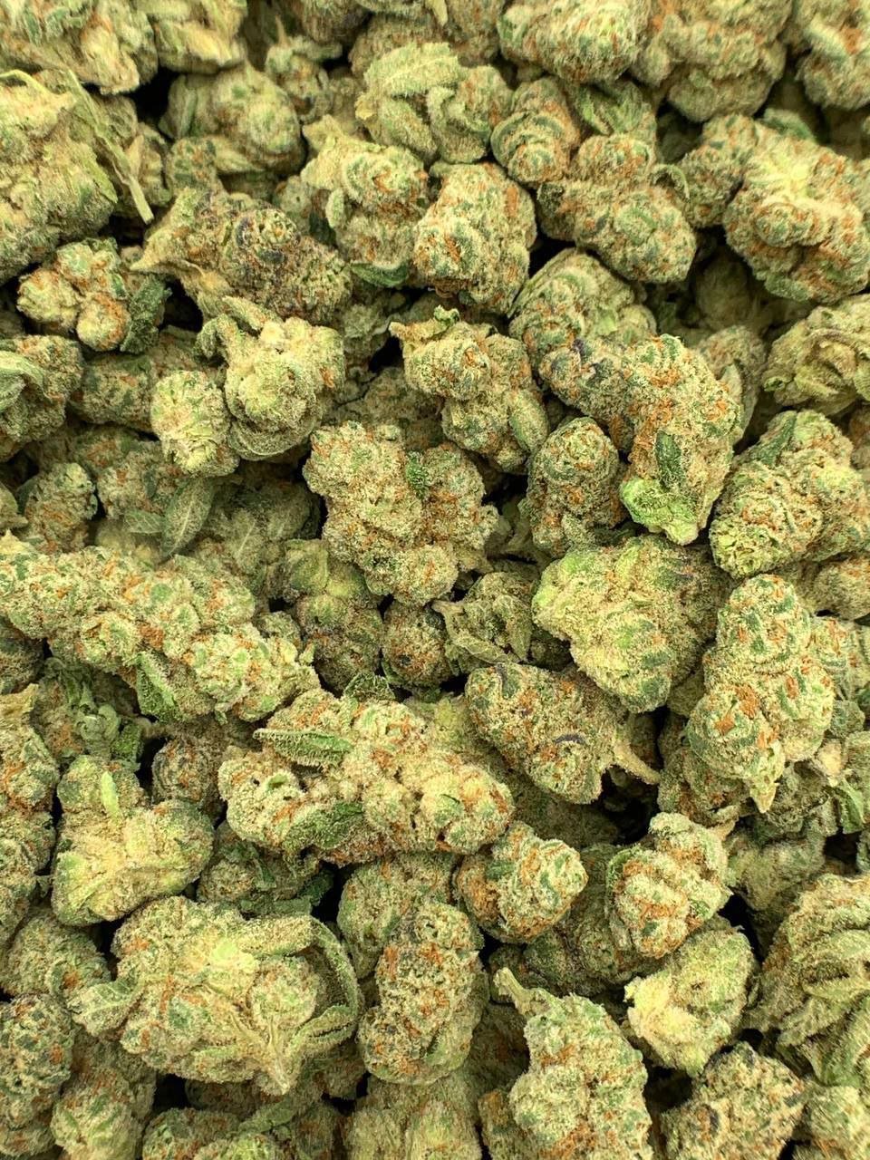 Glitter Bomb Exotic THCa Flower 2 Buy Glitter Bomb Exotic THCa Flower in bulk and offer your customers a potent, relaxing experience