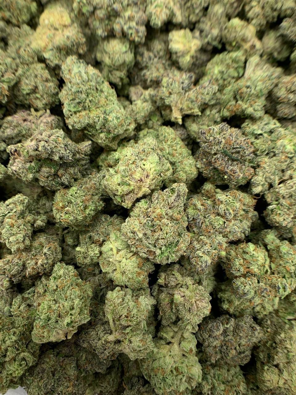 Purple Nitro THCa Flower 2 Buy Purple Nitro THCa Flower in bulk and offer your customers a high-energy flavor experience. 28.9% THCa,