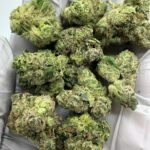 Martian Candy Exotic THCa Flower
