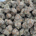 Jack Herer HHC Flower