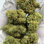Grandi Guava THCa Flower