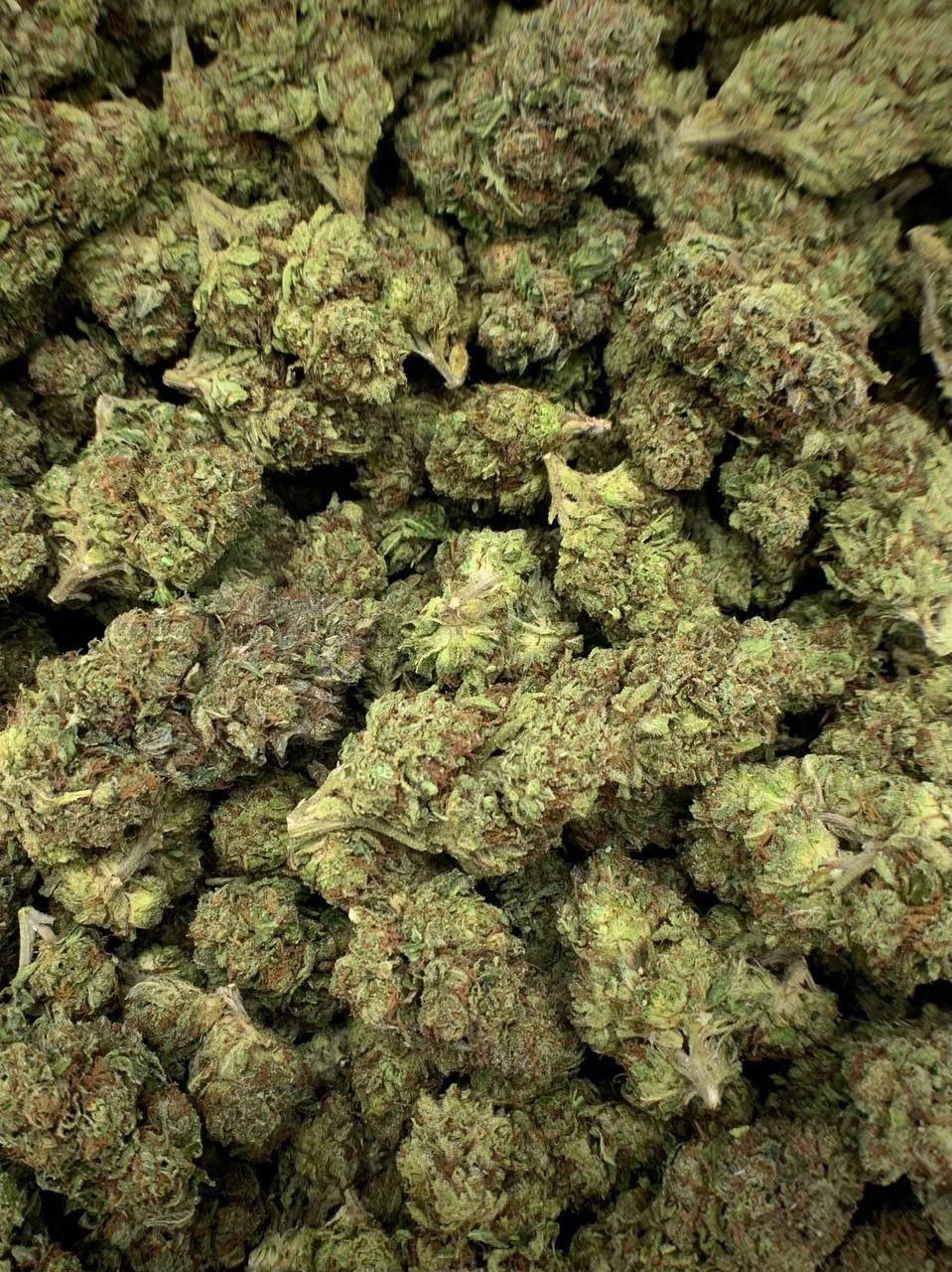 Rainbow Sherbet THCa Flower 2 Close-up of Rainbow Sherbet THCa Flower, highlighting the strain's unique characteristics and trichome structure
