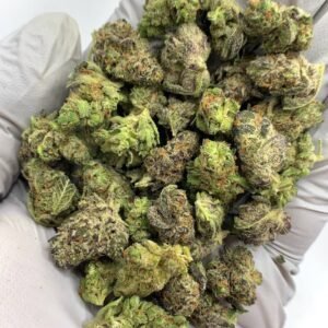Shop 10 Platinum Lemon Gushers THCa Flower with vibrant citrus aroma and resin-covered buds