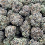 Purple Punch HHC Flower
