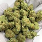 Blue Skunk THCa Flower