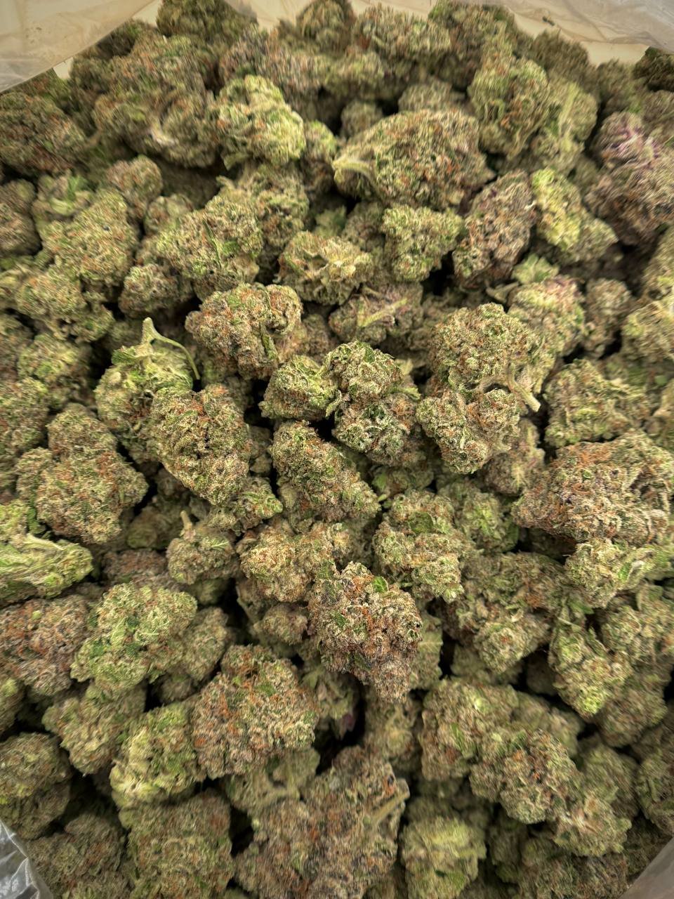 Girl Crush THCA Flower 1 Girl Crush THCA Flower premium bulk flower for wholesale