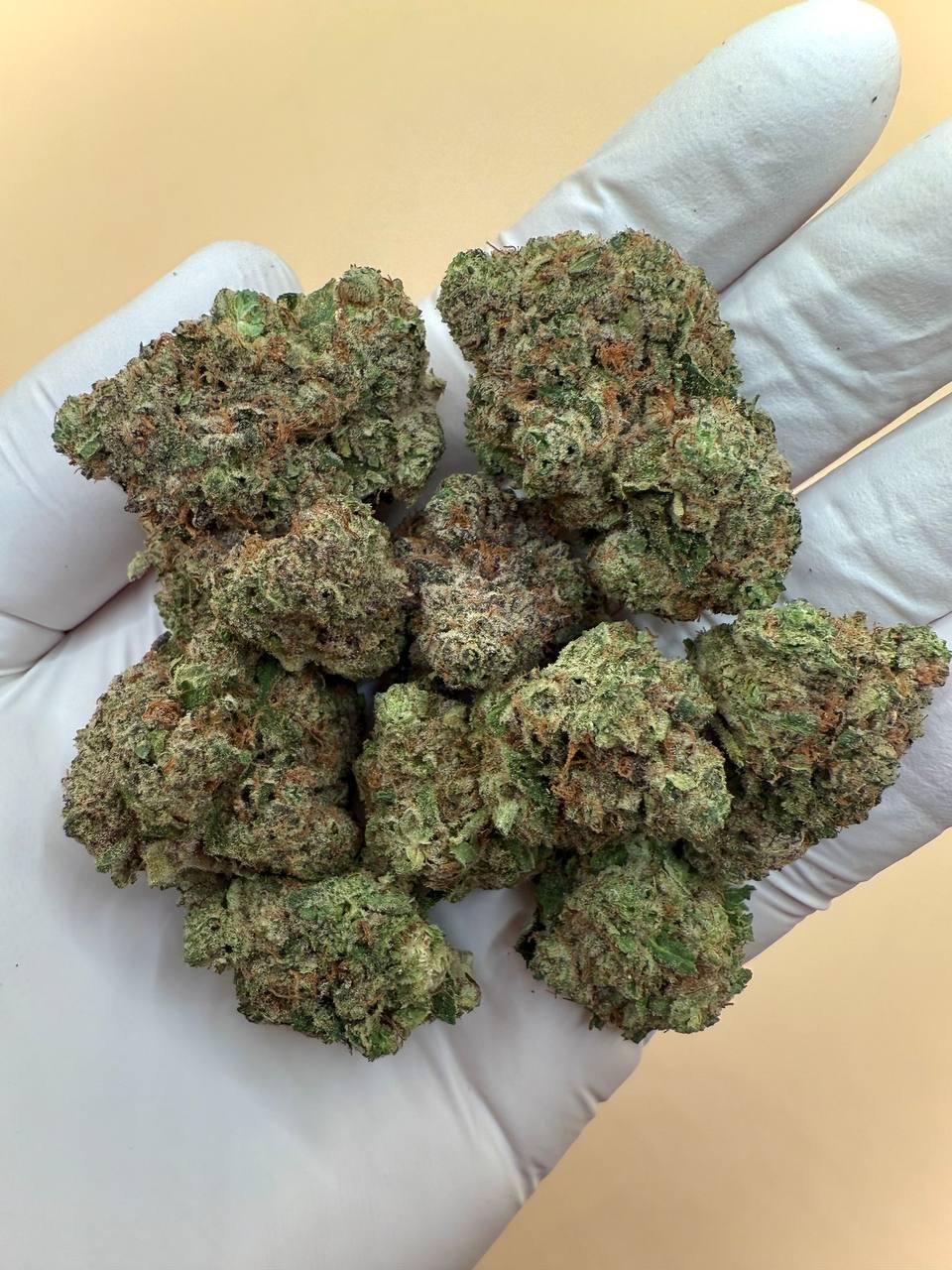 Girl Crush THCA Flower 2 Girl Crush THCA Flower - Image 3